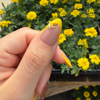 Close-up of the highly detailed 3D sculpted banana charm positioned on a brilliant yellow French tip.